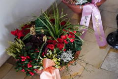 IMG-20191008-WA0007