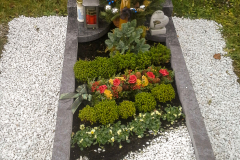 IMG-20151204-WA0001