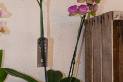 20210204_KBecker_Lumix-1010552