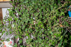 20210204_KBecker_Lumix-1010576