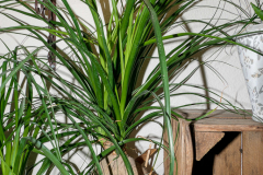 20210204_KBecker_Lumix-1010577