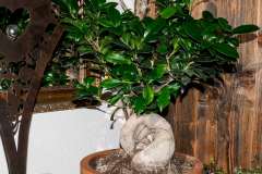 20210204_KBecker_Lumix-1010591