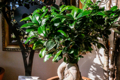 20210204_KBecker_Lumix-1010597