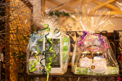 20210120_KBeyer_KB-7308