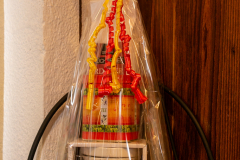 20210120_KBeyer_KB-7310